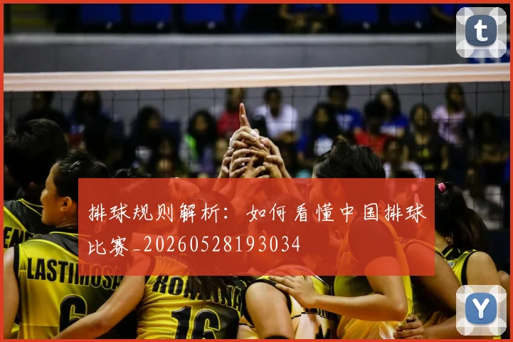 排球规则解析：如何看懂中国排球比赛_20260528193034
