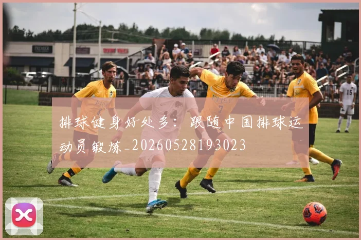 排球健身好处多:跟随中国排球运动员锻炼_20260528193023